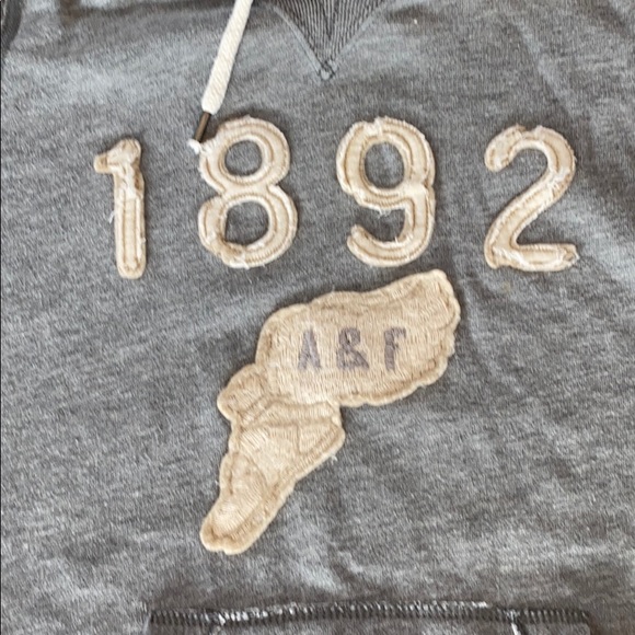 Abercrombie & Fitch hoodie - Picture 2 of 12